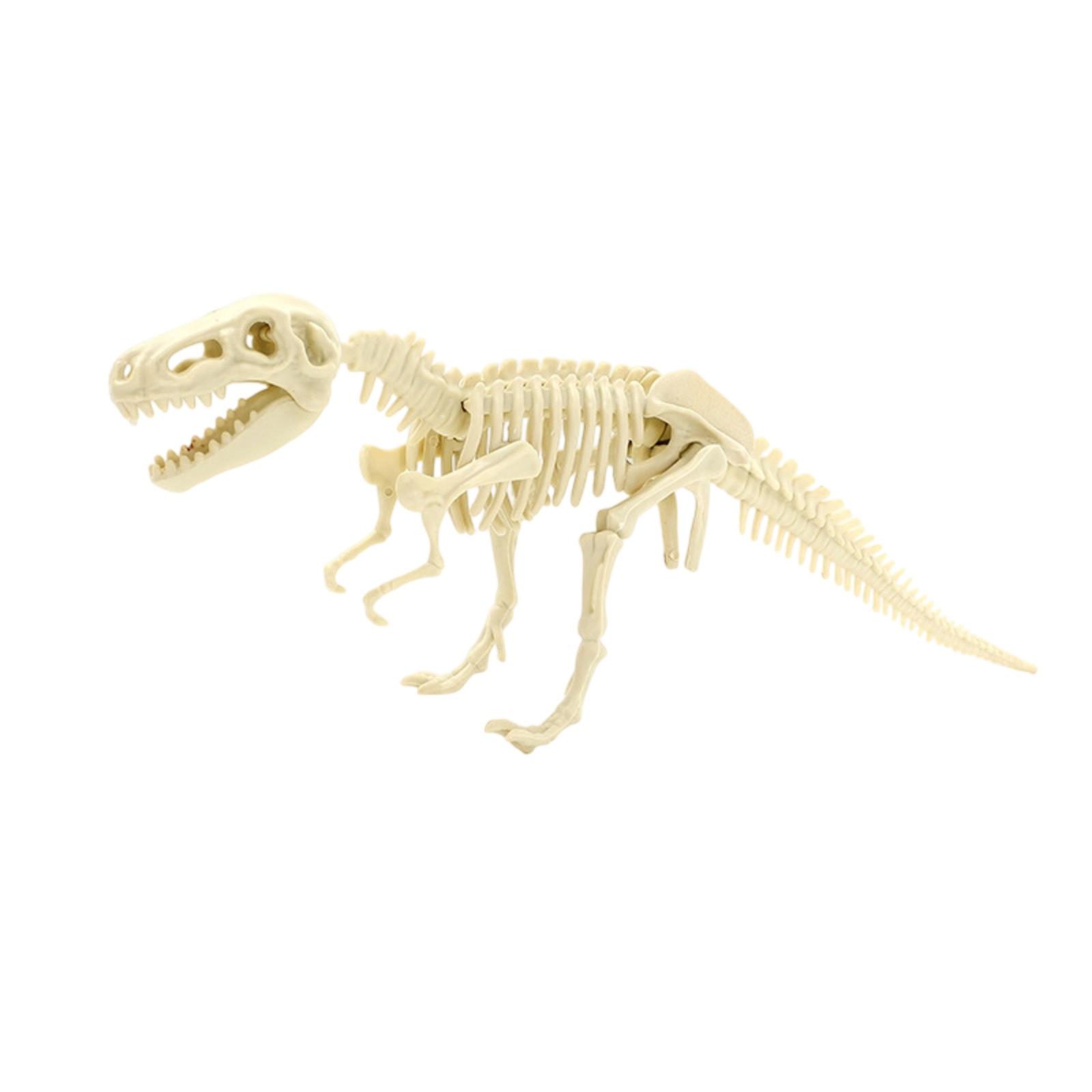 

Dinosaur Skeleton DIY Toys Educational Puzzles Model Set For Kids Over 6 Years Old One Size как