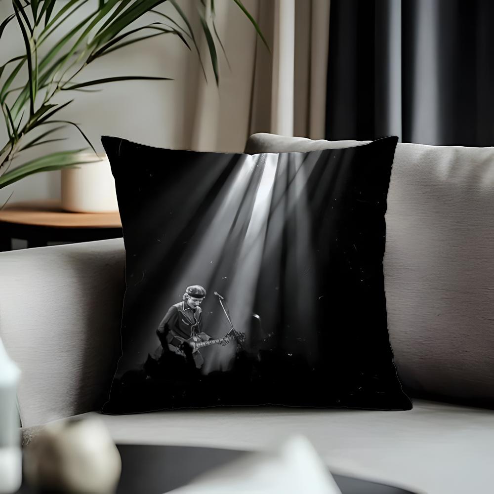 Hot DDire Straitsable Cushion Cover Antidustmite Pillowcase Invisible Zipper Silky Short Plush Sofa Cushion Cover