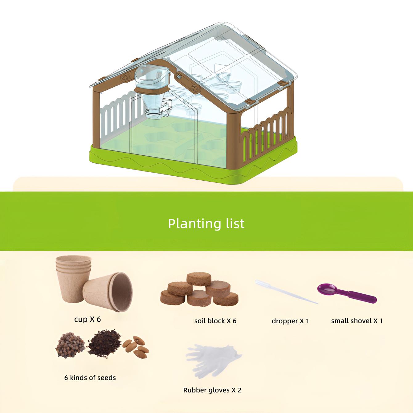 

DIY science experiments for children and students: Growing vegetables, potted plants, observing plant growth, and planting toys