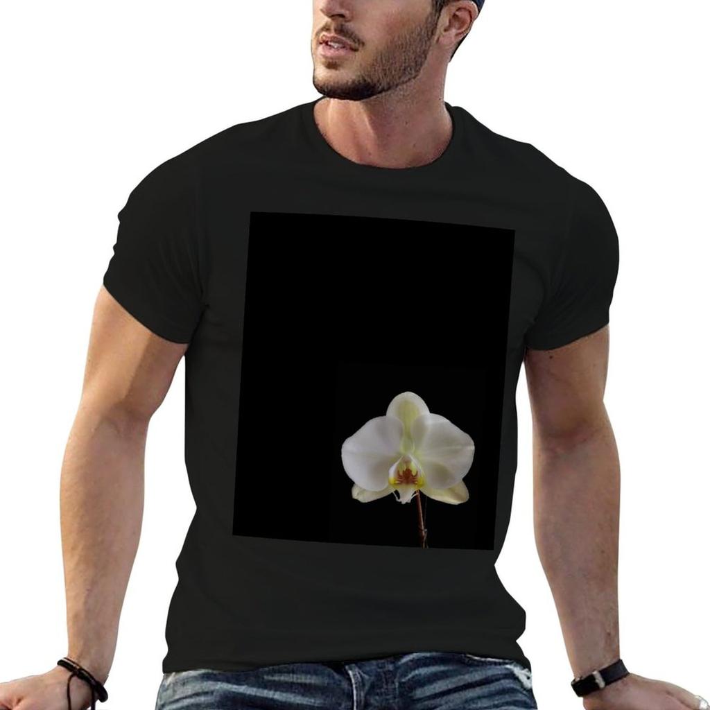 Reblooming Tshirt Cotton T Shirt Unisex Anime T Shirts Oversize Unisex T Shirt Cotton Tshirt