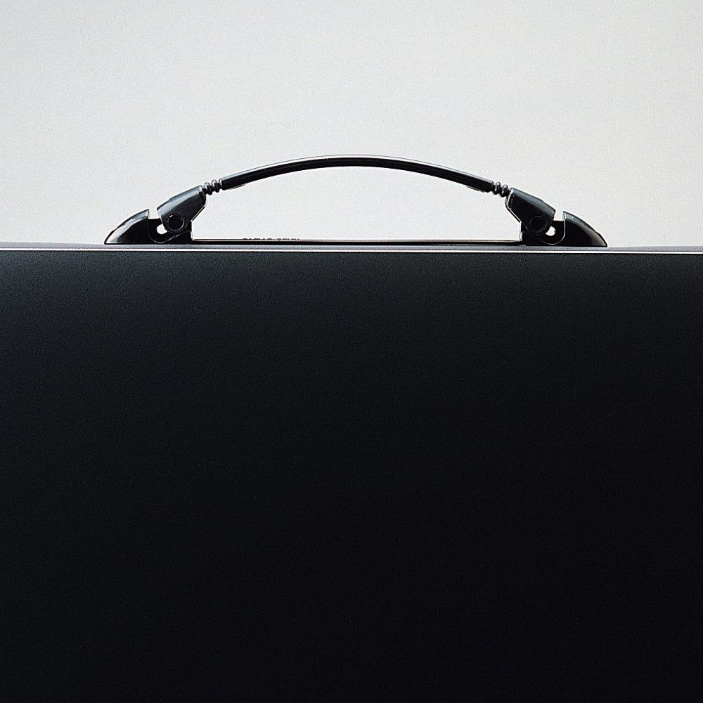 LIHIT LAB Carrying Case A4 Black F910
