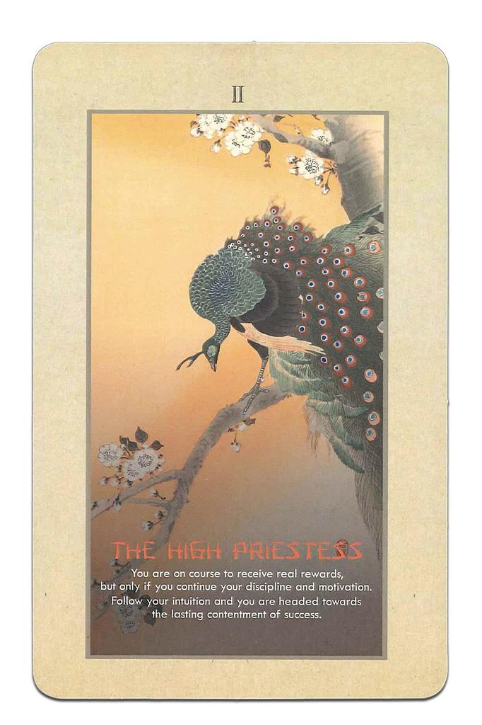 Nichiyu Tarot Waite Fortune Telling Direct Import from the Koson Tarot Arcana Includes Japanese Instruction Manual and Flower and Bird 22-Card Cards,