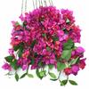 20pcs Artificial Climbing Bougainvillea Flower Vine 80cm Long Silk Bougainvillea Spectabilis Blossom Tree Branch