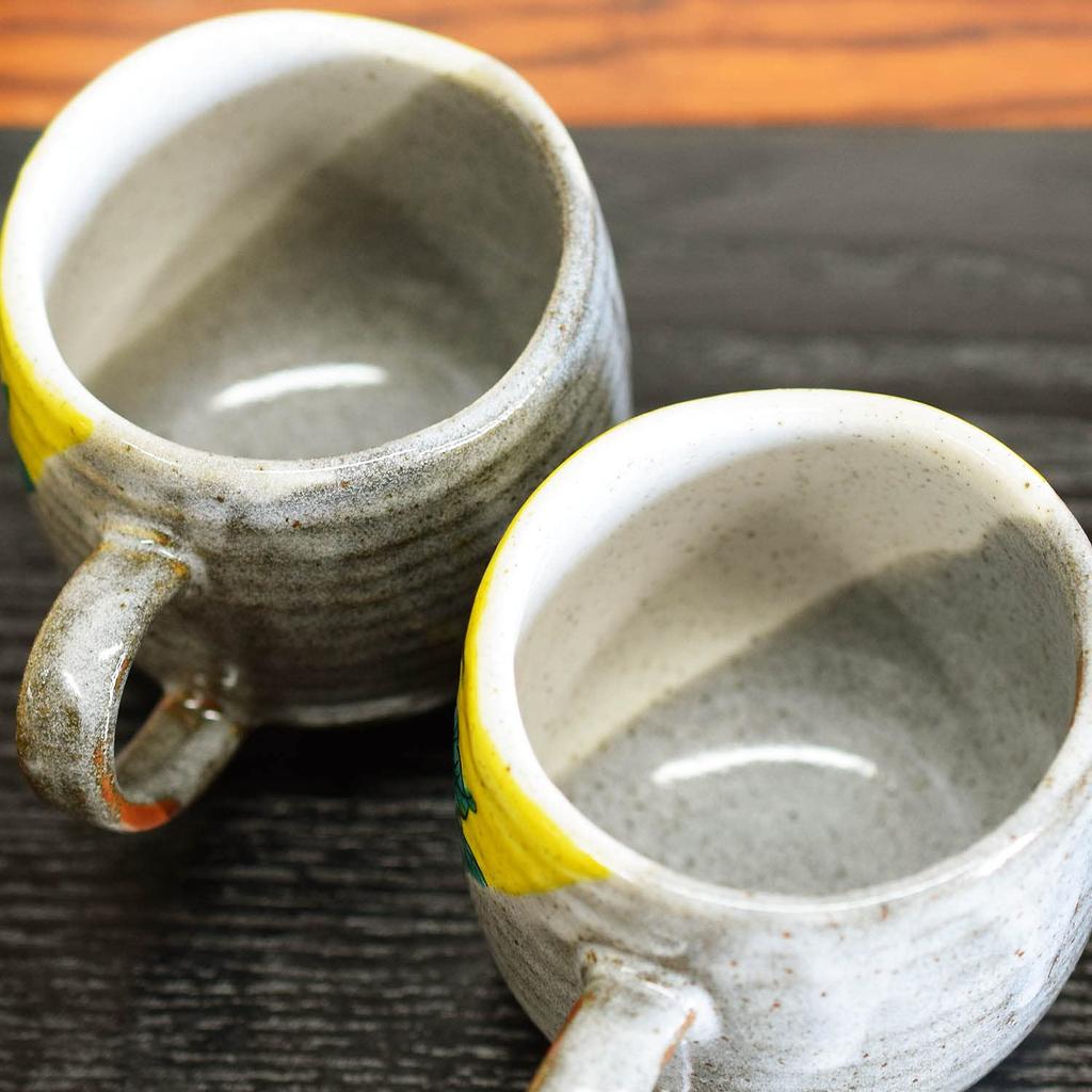 Waza no Kura Stylish Mug Pair Set Kutani Ware Yoshidaya Peony Pottery Luxury Brand Tableware Made in Japan