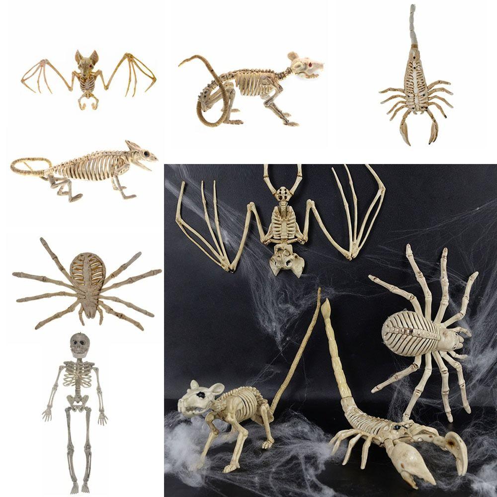 Skeleton Model Halloween Animal Skeleton Bat Mouse Lizard Scorpion Halloween Bats Skeleton   Home