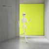 Halloween Skeleton Toy 3ft Life Size Skeleton, Full Body Posable Plastic Prop, Realistic Life-like Decoration Human Bones Model for Yard Patio