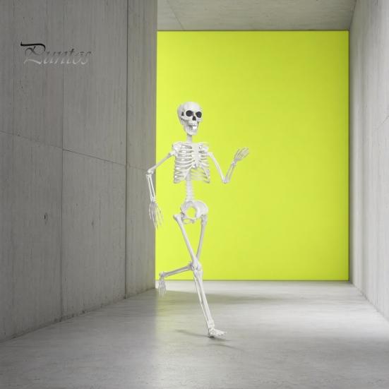 Halloween Skeleton Toy 3ft Life Size Skeleton, Full Body Posable Plastic Prop, Realistic Life-like Decoration Human Bones Model for Yard Patio