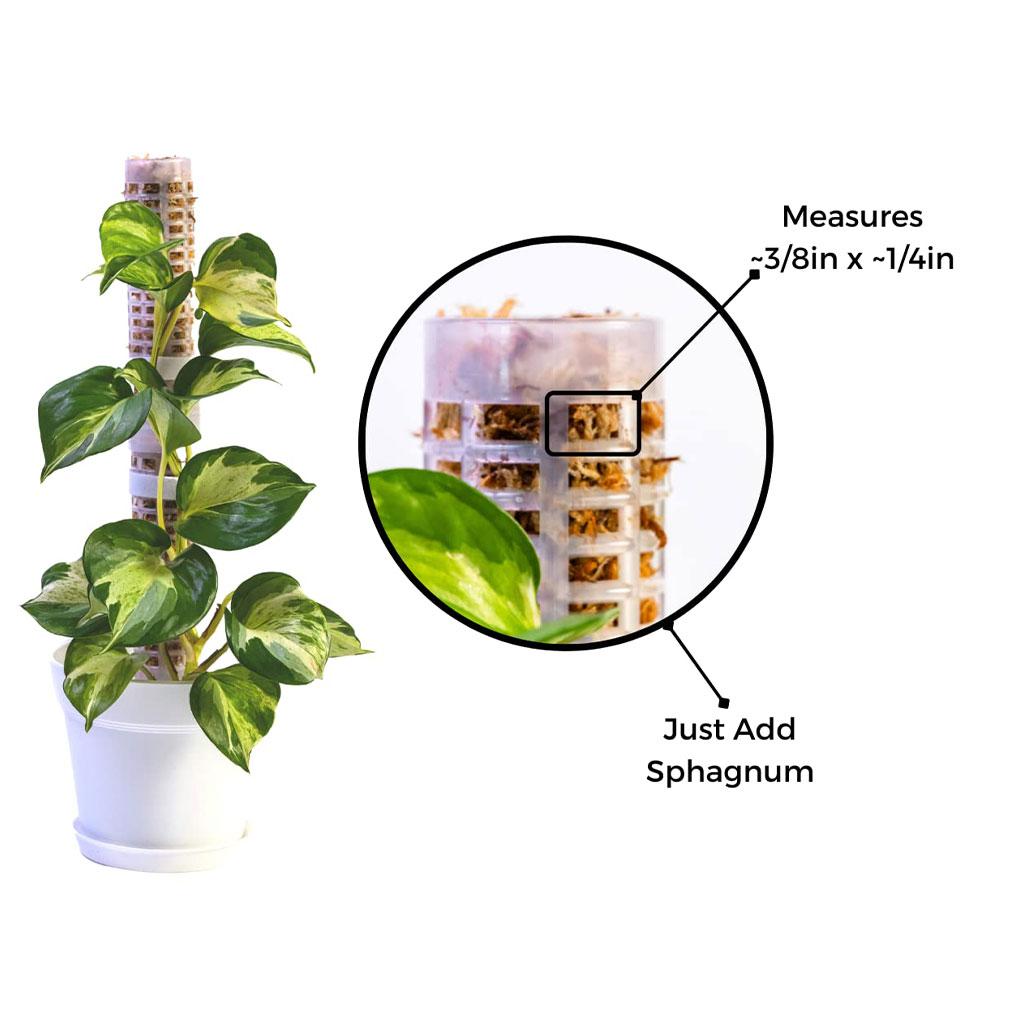 Pack of 2 Climbing Plant Pole Sphagnum Stick Vertical Support Reusable Indoor Outdoor Garden Ground Spike Connection Port