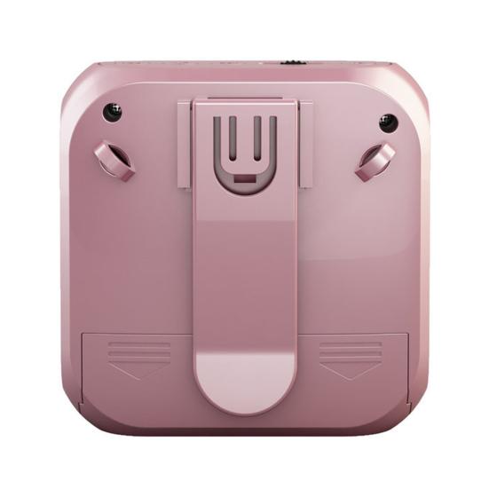 Portable Wireless Voice Amplifier Teachers Meeting Tour Guide Rechargeable PA System Speaker Personal Amplifier