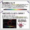 Sunline Stealth Color Eging Fluorocarbon Leader Saltimate Egi Leader SV-I 30m Magical Pink 1.75