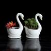 White Ceramic Flower Pot Plant Flowerpot Planter Desktop Home Off