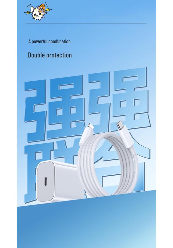 Dianpingfan C20L PD20W 14 Series Fast Charger, 1m (C-L)