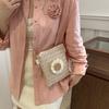 Grass Woven Shoulder Bag Casual Small Braided Crossbody Bag Women Beach Purse and Handbags Summer Sling Bag CLE