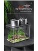 Transparent Plastic Desktop Aquarium: Small Ecological Fish Tank for Goldfish, Ideal for Living Room or Table Landscaping