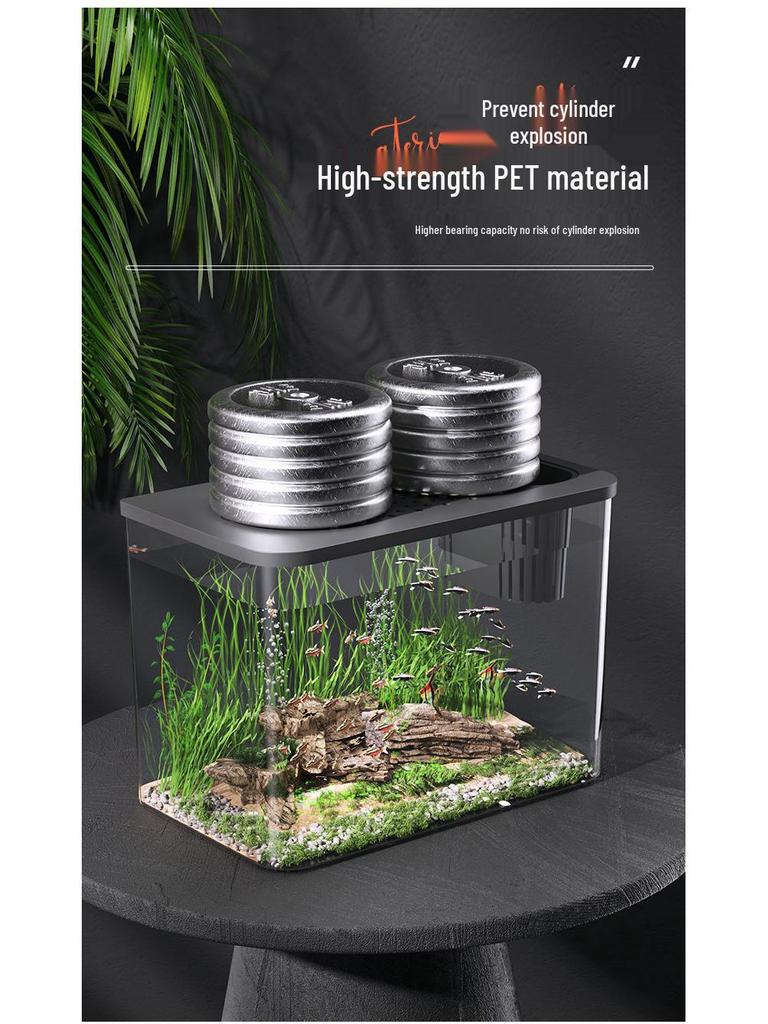 Transparent Plastic Desktop Aquarium: Small Ecological Fish Tank for Goldfish, Ideal for Living Room or Table Landscaping