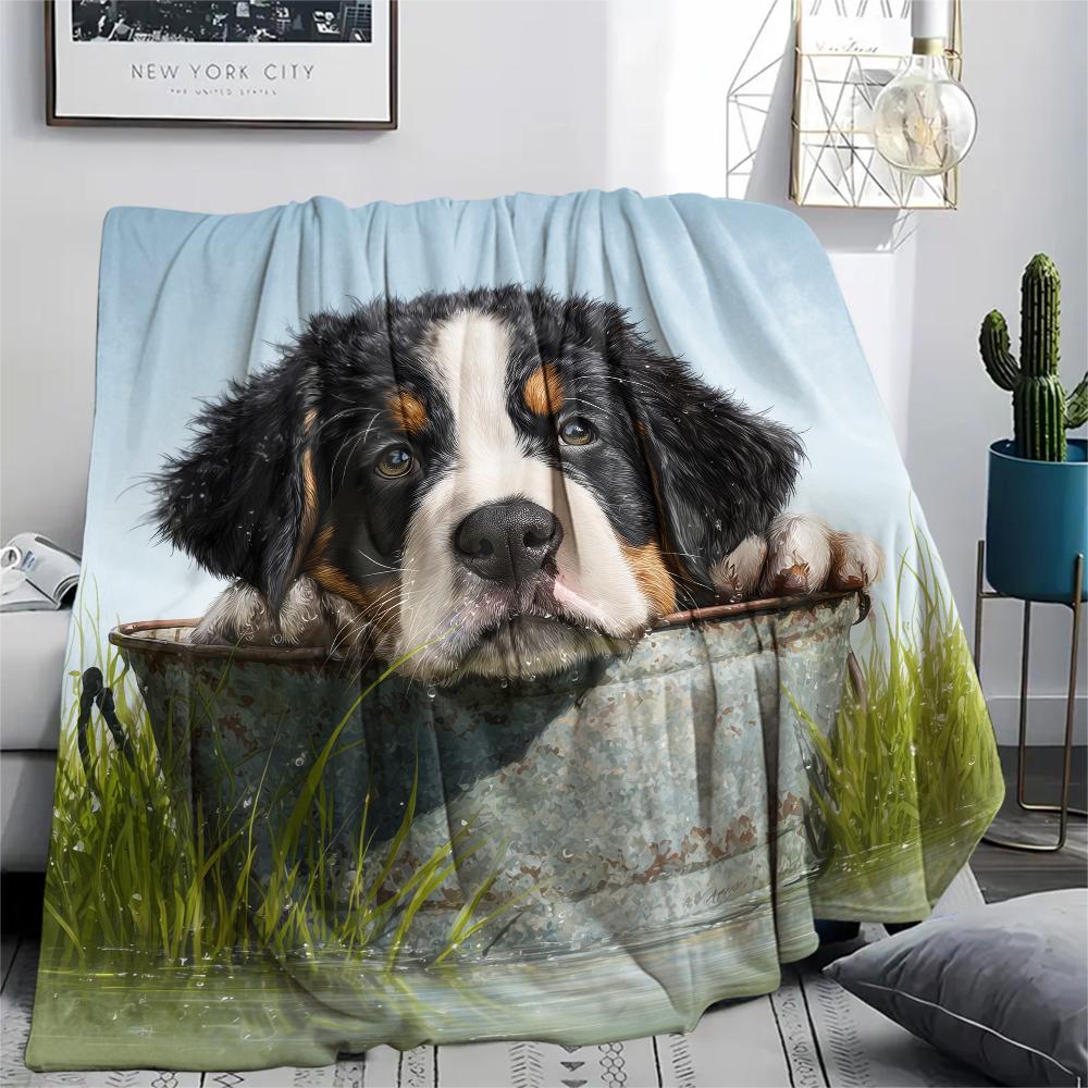

Cute Bernese Mountain Dog pattern Flannel Blanket, High quality Comfortable for All Seasons, Home Decor, Warmth and Comfort, Perfect for Gifts. 80cm x 120cm