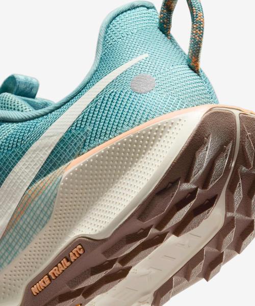 Nike Pegasus Trail 5 W DV3865-010 [Shipped from Korea] 100% Authentic