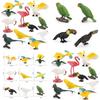 Kids Wild Bird Replica Pvc Educational Toy For Science Projects And Gift