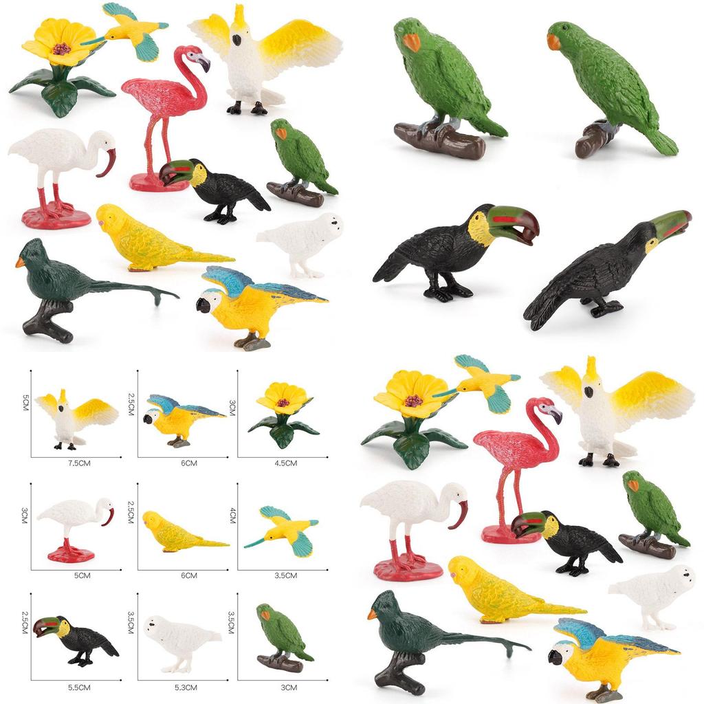 Kids Wild Bird Replica Pvc Educational Toy For Science Projects And Gift