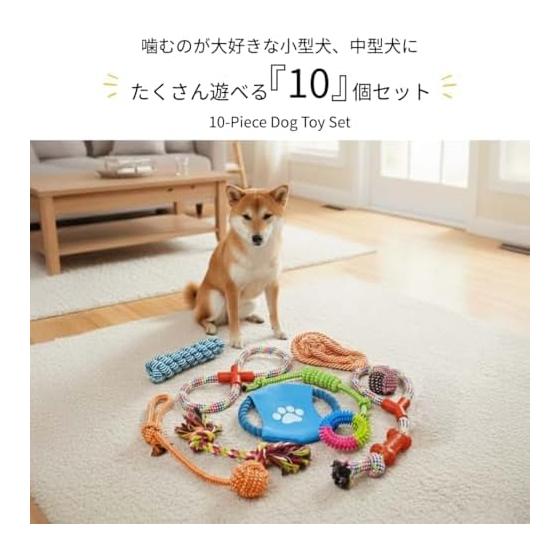Set of 10 Dog Toys, Sturdy, Small Dogs, Medium Dogs, Large Dogs, Dog Toys, Rope, Ball, Frisbee, Toothpaste, Educational Toys, Chewing Pet Toys, Cat