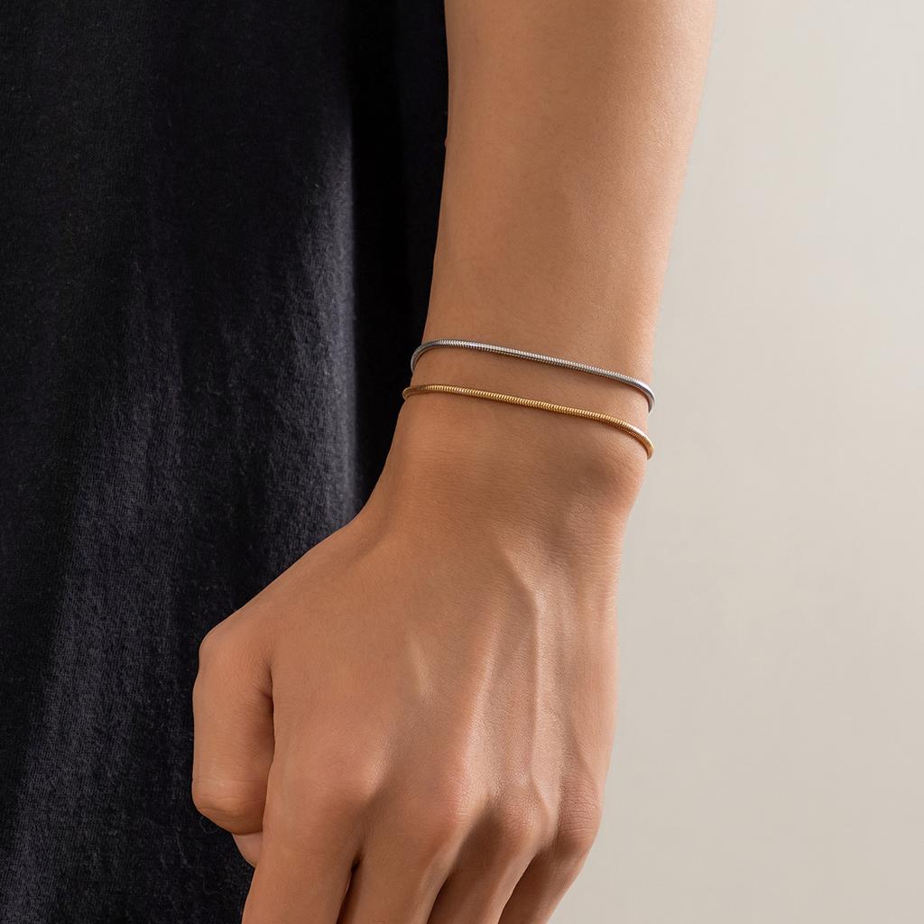 Hip-Hop Personality Double-Layer Simple Snake Bone Chain Bracelet Men's Fashion Niche Metal Bracelet Men's Jewelry