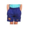 Nike Kids Elastic Waist Mid-Rise Casual Shorts Kids Shorts Blue DJ8751-455