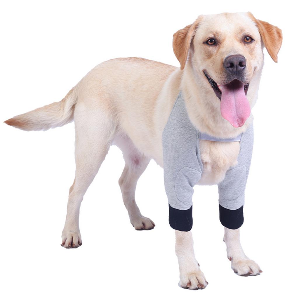 Verstellbare Hunde-Vorderbeinorthesen mit weicher Baumwollpolsterung für bequeme Gelenkunterstützung und Heilung von Gelenkverletzungen
