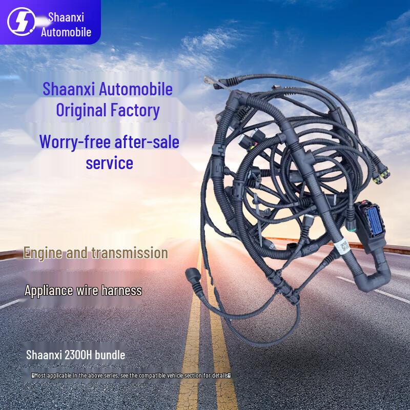 SHACMAN Engine Wiring Harness