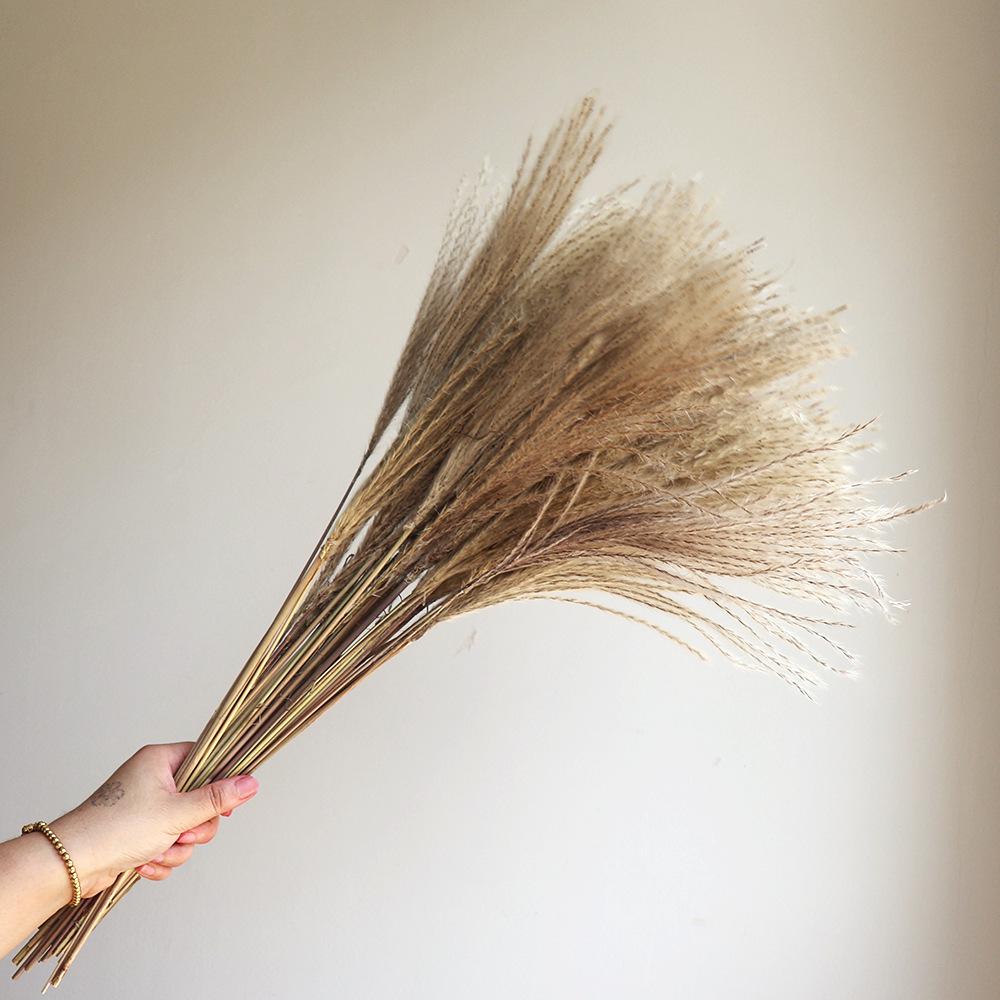 Wabi-sabi Dried Flower Arrangement: Reed, Pine Cones, Cotton, Wheat, Poppy Bouquet