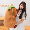 Capybara Animal Lotus Leaf Decoration Plush Doll Kids Birthday Gift Decor Home