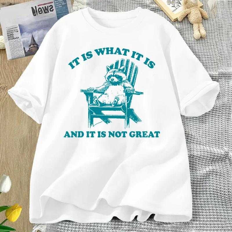 It Is What It Is and It Is Not Great Funny Raccoon T Shirt Women Trash Panda Opossum Graphic T-shirts Short Sleeve Tees