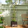 Raised Garden Bed with Trellis, Tomato Cage with Lockable Wheels, Self Watering Planter Box with Drainage Holes, Brown