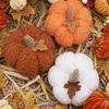 3Pcs Mini Pumpkin Decor Autumn Farmhouse Halloween Harvest Car Ornament Decorations