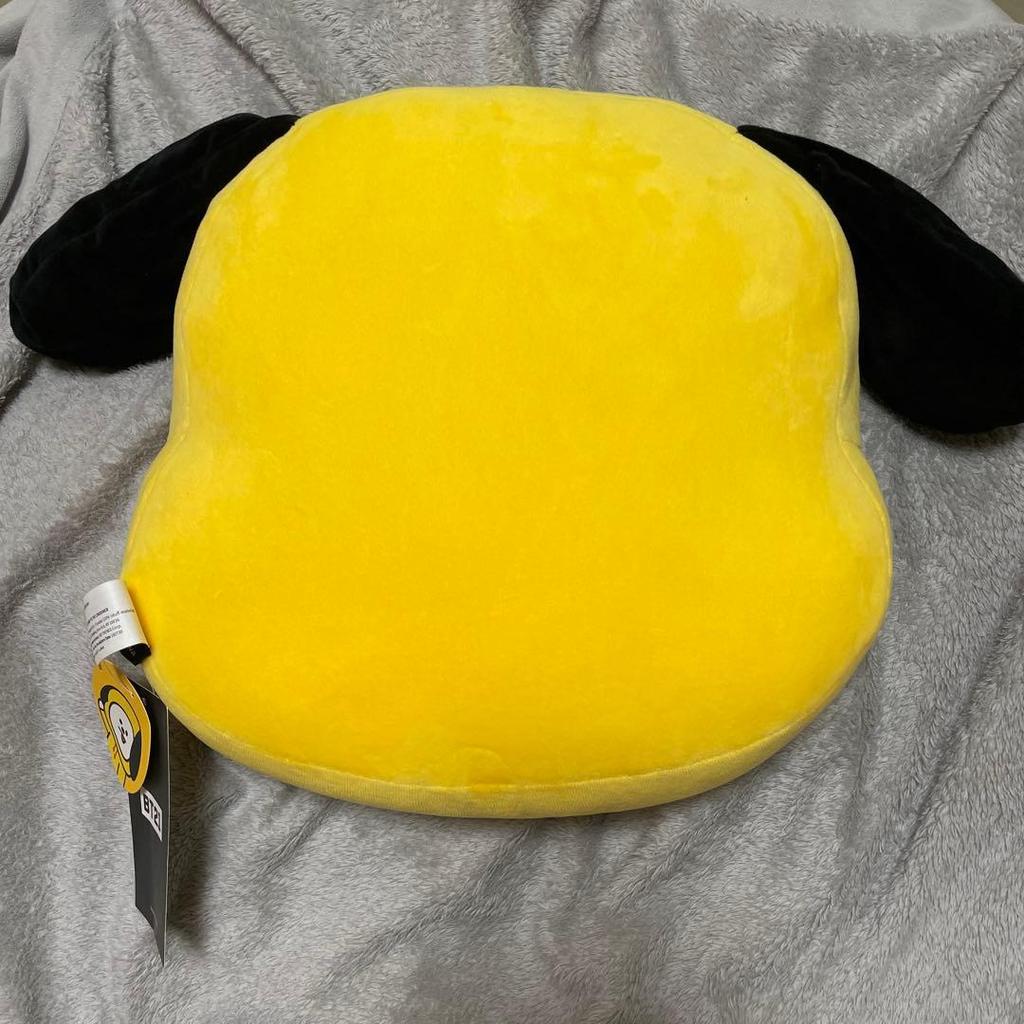Used BT21 CHIMMY face cushion