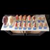 Human Poisoning Simulation Training Model