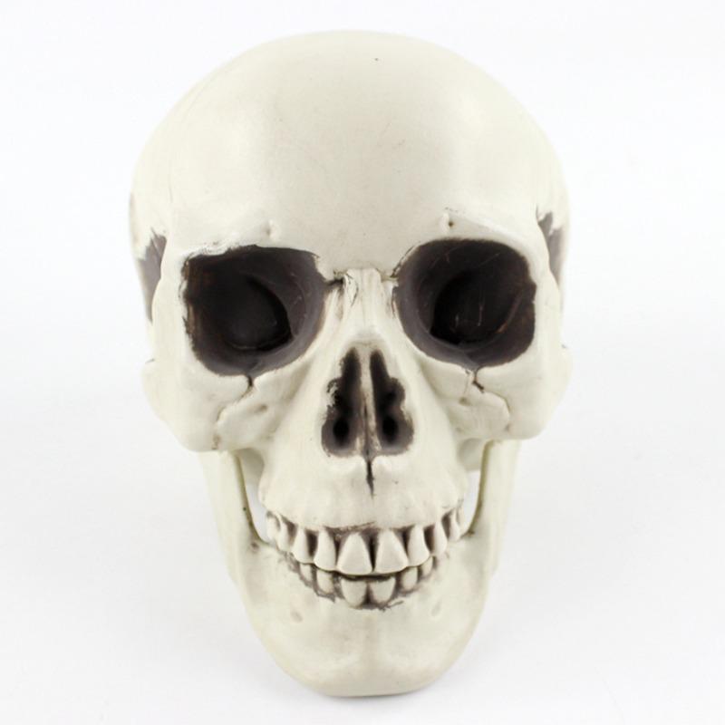 Realistic Human Skull Model - Halloween Decoration Prop for Haunted Houses - Creepy Skull Ornament  Convenient Home Decor