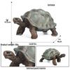 Cross-Border Children's Cognitive Amphibian & Reptile Tortoise Model Fish Tank Ornament Toy