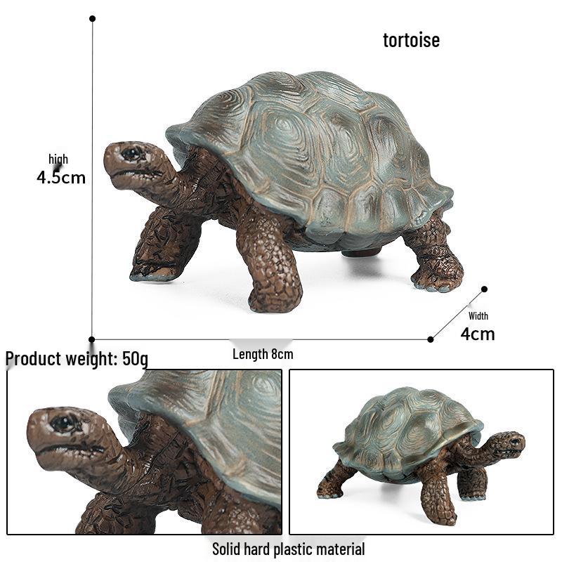 Cross-Border Children's Cognitive Amphibian & Reptile Tortoise Model Fish Tank Ornament Toy