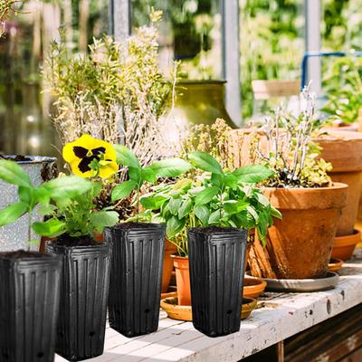 10Pcs Pflanze Wachsen Tasse Hohe Überleben Rate Anti-rissbildung Halten Befeuchten Blume Keimung Zellstoff Gärtnerei Topf Garten versorgung