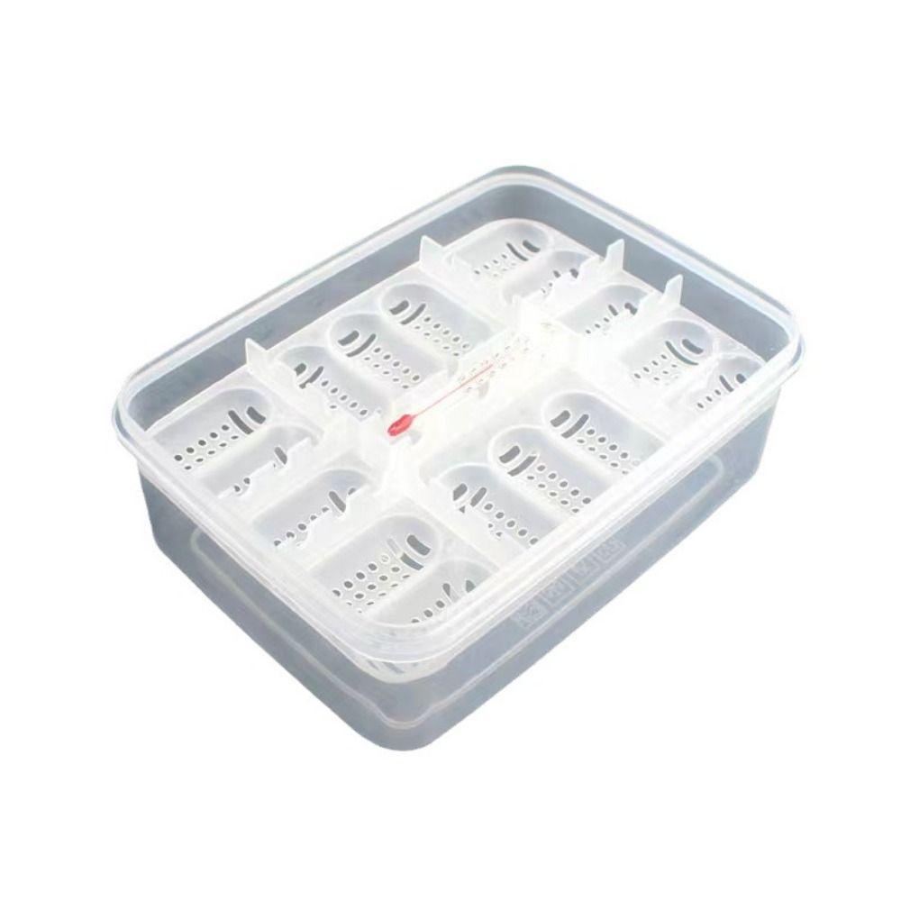 16 Grids Reptile Hatch Box Transparent Reptile Breeding Hatchery Turtles Egg Incubator Tray  Snake
