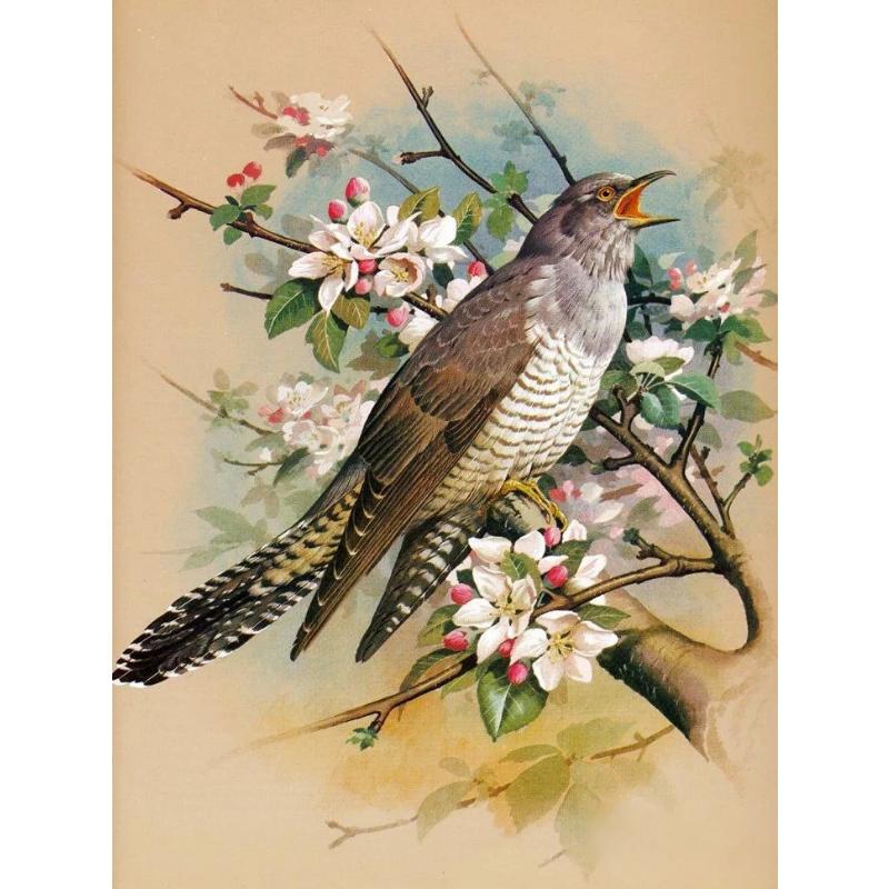 Canvas paintings, animals, birds, home decor, gift craftsmanship, living room, bedroom, wall decoration
