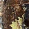 3D Blätter-Ghillie-Hut Vollgesichts-Tarnung Verstellbare Versteck-Kopfbedeckung für Outdoor-Jagd & Wildtierfotografie