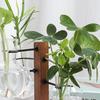 1 Set Plants Propagation Station with 4 Glass Vases Indoor House Plant Terrarium Kit Hydroponic Flower Holder Plants Container Decoration