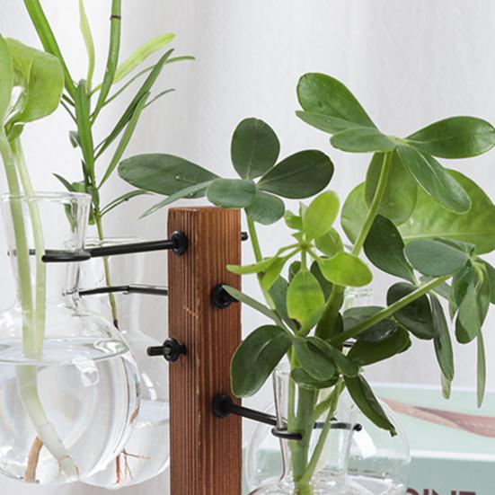 1 Set Plants Propagation Station with 4 Glass Vases Indoor House Plant Terrarium Kit Hydroponic Flower Holder Plants Container Decoration