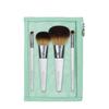 Pinselset - ECOTOOLS - ON THE GO STYLE - 5 Teile - Gemischt - Praktisch für das Make-up