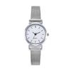 Ladies Mesh Strap Small Dial Casual Fashion Quartz Watch Junior High School Student Simple Watch