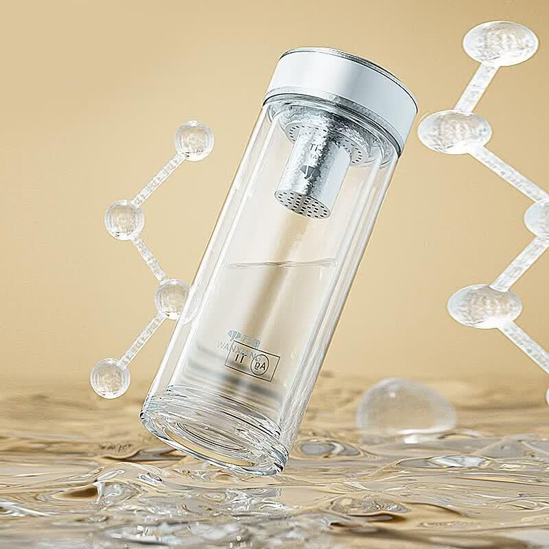 WANXIANG Dual-Layer Antibacterial Glass Tea Infuser Bottle