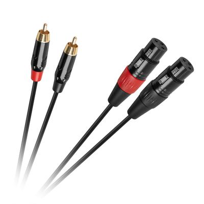 Cabletech XLR - 2RCA Connection Cable 1m