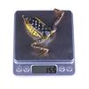 HENGJIA Pack of 5 Topwater Floating Frog Bait Fishing Lures Kit Plastic Artificial Bait with Box