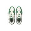 Li Ning We I Pros Shock Absorption Low Top Skate Shoes Men Skate Shoes Green White AEPU017-4